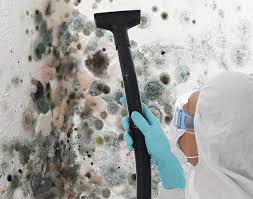 Best Forensic Mold Investigation  in Mount Prospect, IL